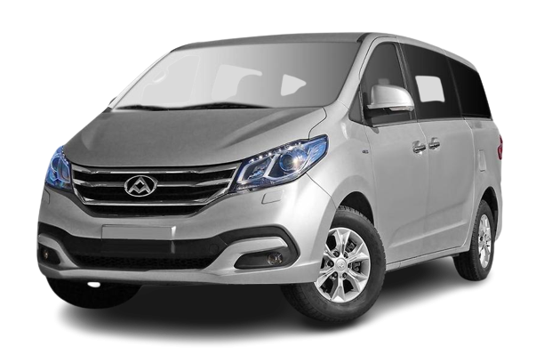 LDV G10 2015-2023 (SV7A SV7C)  Wiper Blades