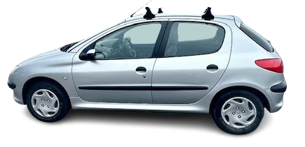 Peugeot 206 1999-2000 (T1) Hatch 