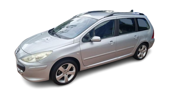 Peugeot 307 2003-2004 (T5) Wagon 