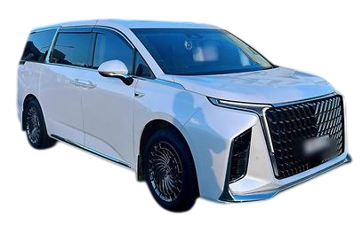 LDV MIFA 2022-2026 Luxe Replacement Wiper Blades